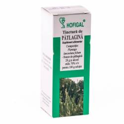 Tinctura Patlagina 50ml - Hofigal