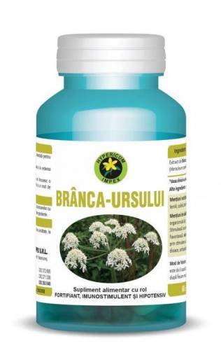 Branca Ursului 60cps - Hypericum