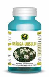 Branca Ursului 60cps - Hypericum