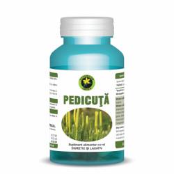 Pedicuta 60cps - Hypericum