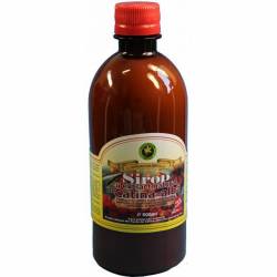 Sirop Catina Alba Fara Zahar 500ml - Hypericum