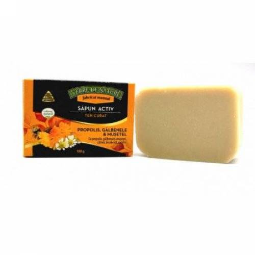 Sapun Activ Ten Curat cu propolis, galbenele, musetel si camphor, 100g - MANICOS