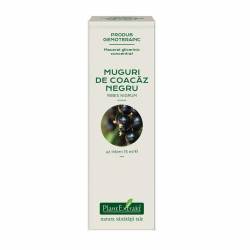 Coacaz Negru concentrat - muguri - gemoderivat - 15 ml - PlantExtrakt