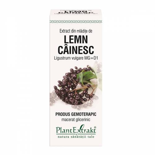 LEMN CAINESC - mladite - gemoderivat - 50ml - PlantExtrakt