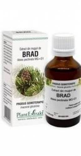 BRAD - muguri - gemoderivat - 50ml - PlantExtrakt