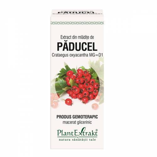 Paducel - mladite - gemoderivat  - 50ml - PlantExtrakt