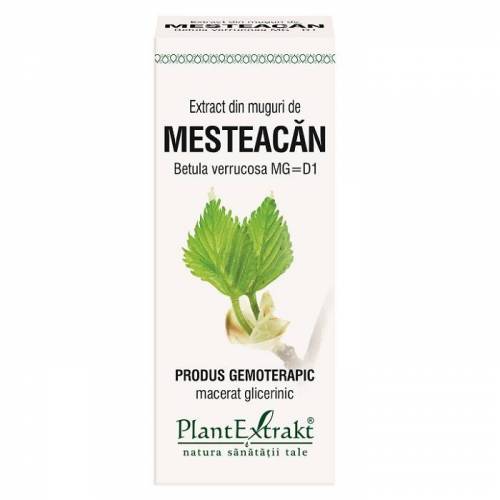 MESTEACAN PUFOS - muguri - gemoderivat - 50ml - PlantExtrakt