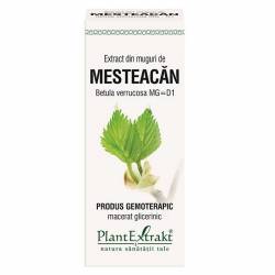 MESTEACAN PUFOS - muguri - gemoderivat - 50ml - PlantExtrakt