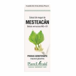 MESTEACAN - muguri - gemoderivat - 50ml - PlantExtrakt