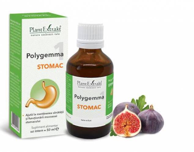 Polygemma 1 - Stomac 50ml Plantextrakt
