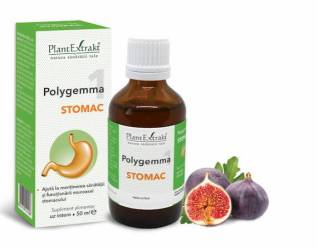 Polygemma 1 - Stomac 50ml Plantextrakt