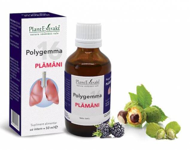 Polygemma 16 - Plaman 50ml Plantextrakt