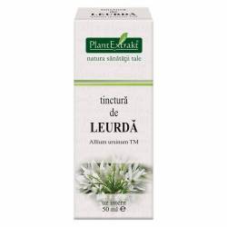 Tinctura de LEURDA - 50ml - PlantExtrakt