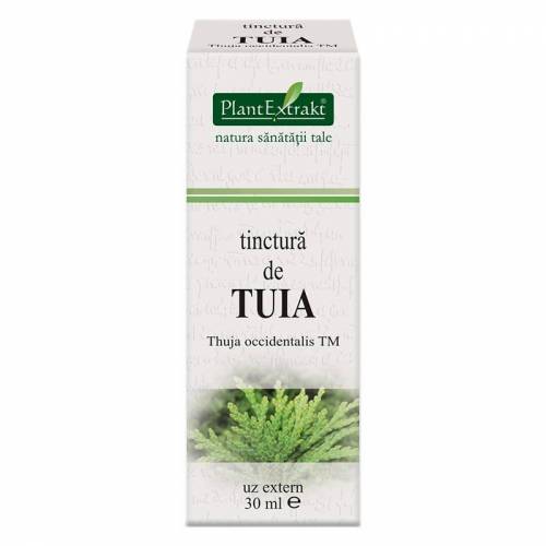 Tinctura de TUIA - 30ml - PlantExtrakt