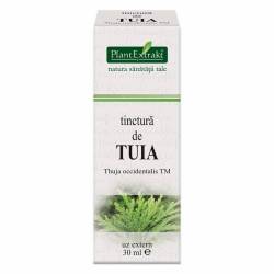 Tinctura de TUIA - 30ml - PlantExtrakt