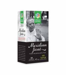 MERIDIAN FICAT 60cps, Steaua Divina