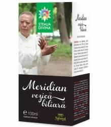 MERIDIAN VEZICA BILIARA TINCTURA 100ml, Steaua Divina