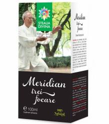 MERIDIAN TREI FOCARE TINCTURA 100ml, Steaua Divina