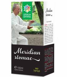 MERIDIAN STOMAC TINCTURA 100ml, Steaua Divina