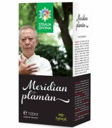 MERIDIAN PLAMAN TINCTURA 100ml, Steaua Divina