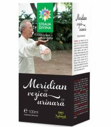 MERIDIAN VEZICA URINARA TINCTURA 100ml, Staua Divina