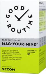 Mag-Your-Mind- 30cps, Good Routine, Secom