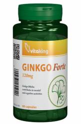 GINKGO FORTE 120MG, 60CPS - VITAKING