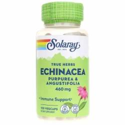 Echinacea Solaray, 100 capsule – Secom
