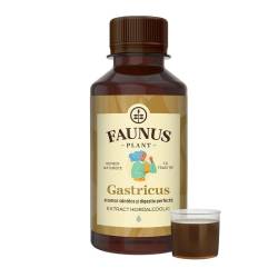 Gastricus – Tinctura 200 ml, Faunus