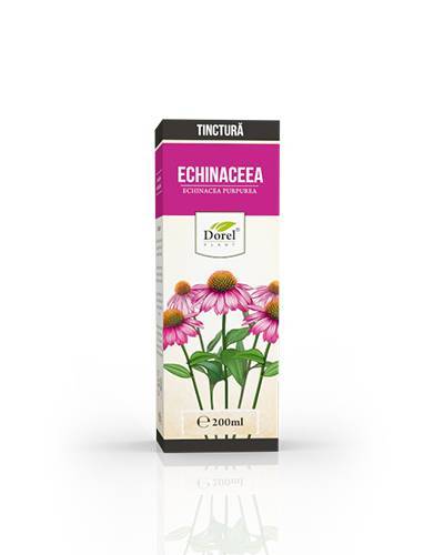 Tinctura de Echinaceea Purpureea, 200 ml, Dorel Plant