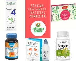 Sinuzita, Schema tratament natural sinuzita acuta si cronica