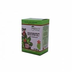 Ceai hepatoprotect pentru bila sanatoasa, 100g - Natura Plant Poieni