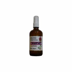 LOTIUNE FATA SPRAY ARGIPUFF CU ARGINT COLOIDAL 30ppm 100ml, AQANANO