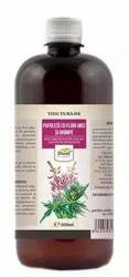 Tinctura de Pufulita cu Flori mici si Ghimpe, 500ml, DOREL PLANT