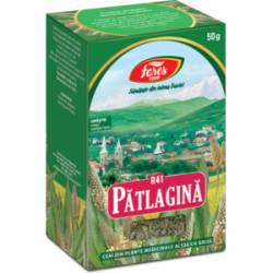 Ceai Patlagina - frunze - R41 - 50g - Fares