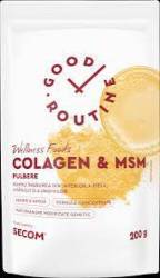 Pulbere de Colagen & MSM, 200 g, Good Routine - Secom