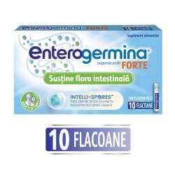 Enterogermina Forte, 10 flacoane*5ml suspensie orala, Sanofi