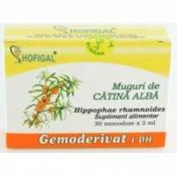 Catina Alba muguri - gemoderivat 30monodoze - Hofigal