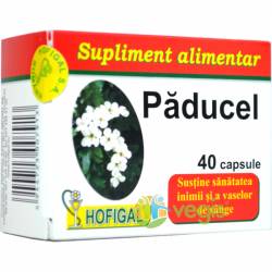 Paducel 40cps - Hofigal