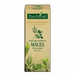 MACES - mladite - gemoderivat - 50ml - PlantExtrakt