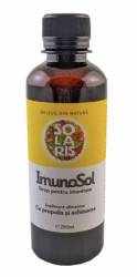 ImunoSol Sirop pentru Imunitate, 250ml - Solaris