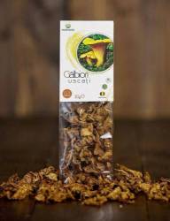 Galbiori uscati 30g - Ecotravio