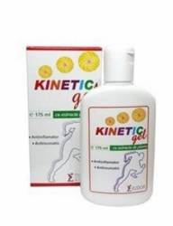 KINETIC GEL 175ml, Pontica Elidor