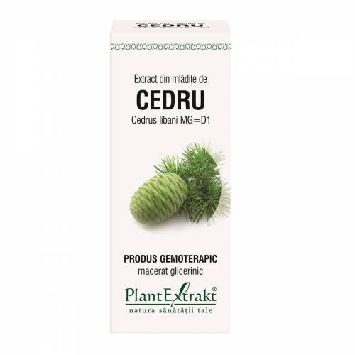 CEDRU - mladite - gemoderivat - 50ml - PlantExtrakt