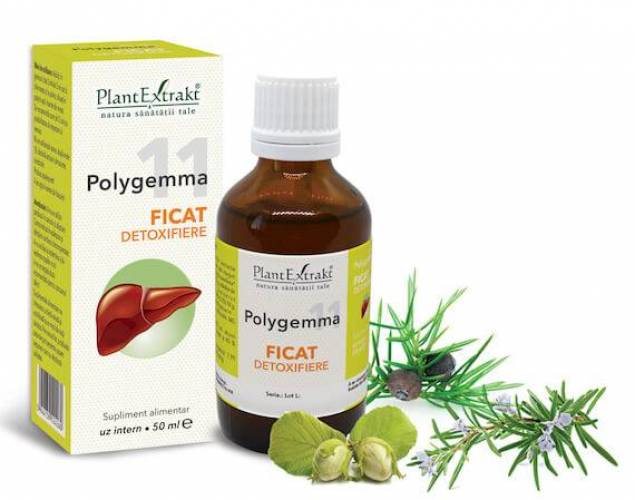 Polygemma 11 - Ficat detoxifiere 50ml Plantextrakt