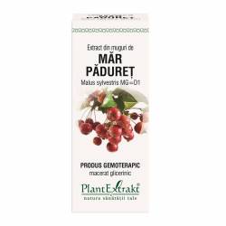 MAR PADURET - muguri - gemoderivat - 50ml - PlantExtrakt
