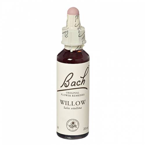 Willow - Salcie galbena ( Bach38) - Remediu Floral Bach