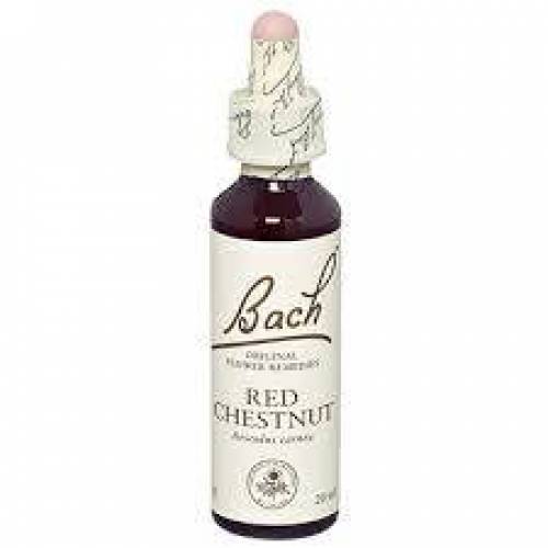 Red chestnut - Castan rosu (Bach25) 20ml - Remediu Floral Bach