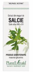 SALCIE  - muguri - gemoderivat - 50ml - PlantExtrakt