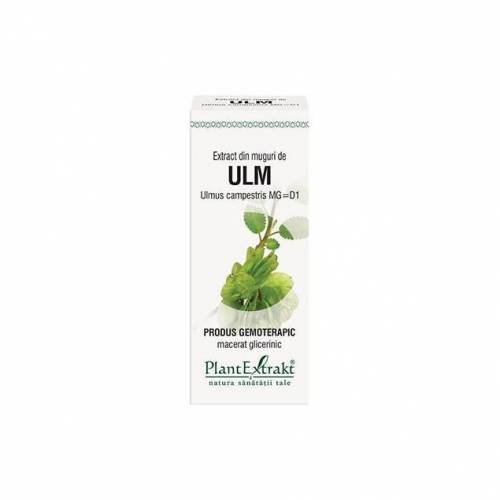 ULM  - muguri - gemoderivat  - 50ml - PlantExtrakt